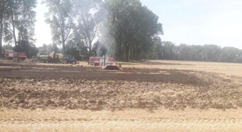 WhatsApp Image 2023-08-13 at 11.43.35 (2)