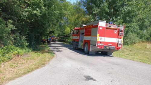 340015262 788094629779199 4595007515063705858 n