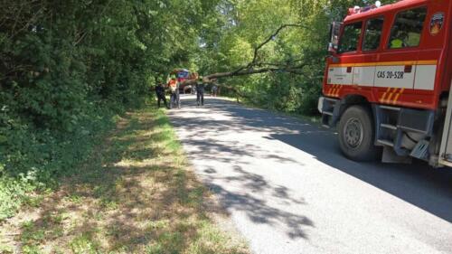 356554974 6369148456505512 4000298283470658173 n