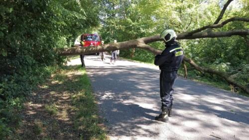 356554982 1011808476509914 8123927252745855943 n