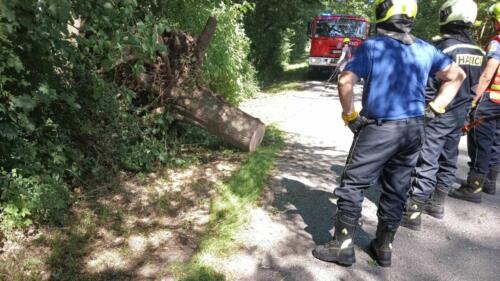 356556088 983701396389420 5839258432284895723 n