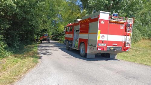 356565339 755068203290519 1597385365084207313 n