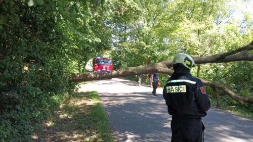 356565397 1281571355801653 2739688267259268851 n