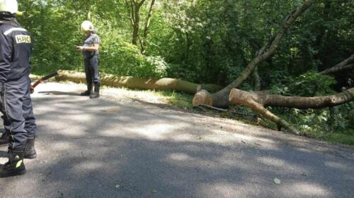 356568919 1715728895506530 6015759350385870905 n