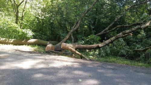 356571618 301743448896851 4351120077212601288 n