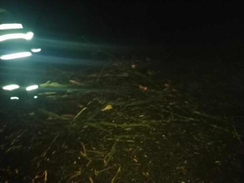 404300184 1557092278378289 217779145398124041 n