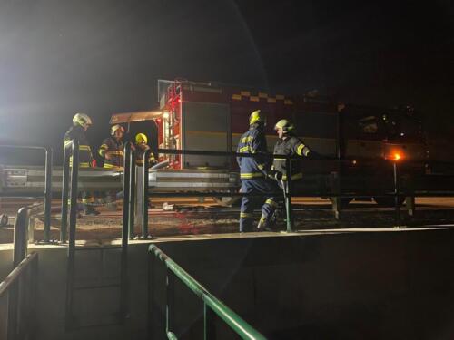 WhatsApp Image 2024-03-18 at 20.02.40