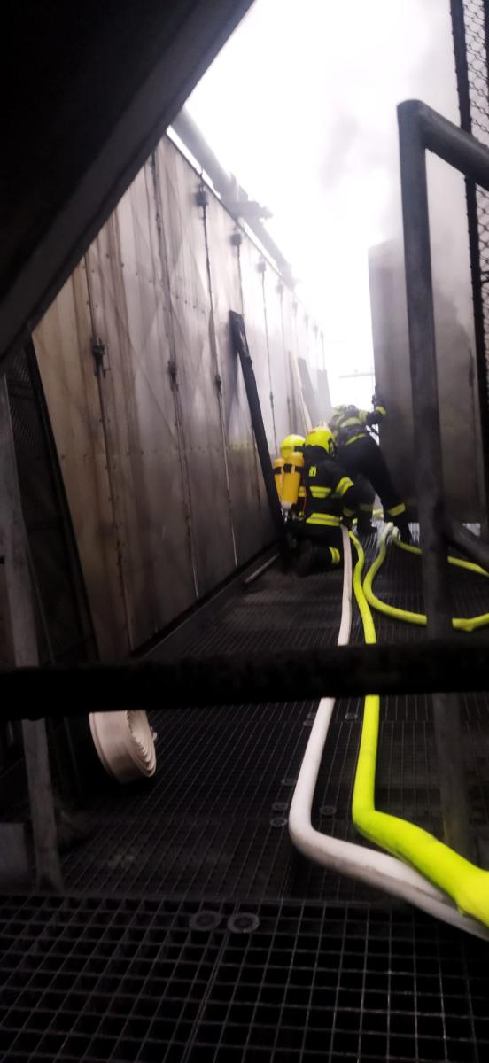 WhatsApp-Image-2025-01-25-at-18.24.14