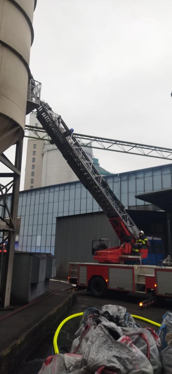 WhatsApp-Image-2025-01-25-at-18.24.15-1