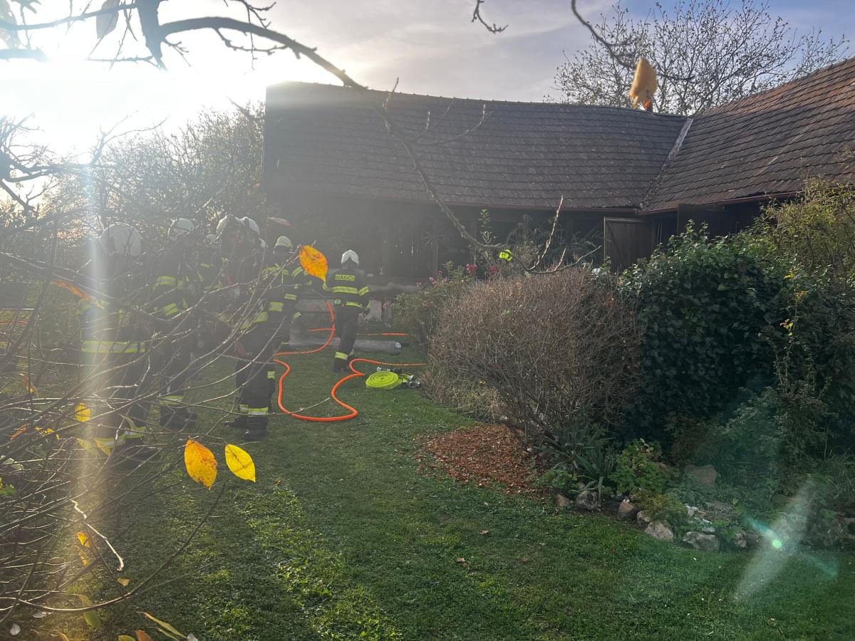 WhatsApp-Image-2025-10-19-at-17.40.03-3