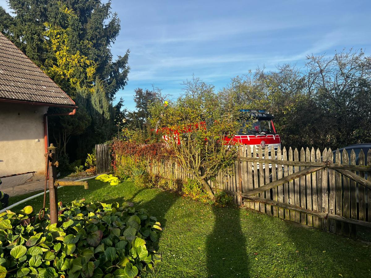 WhatsApp-Image-2025-10-19-at-17.40.06