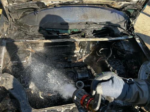 WhatsApp-Image-2025-03-06-at-13.22.16