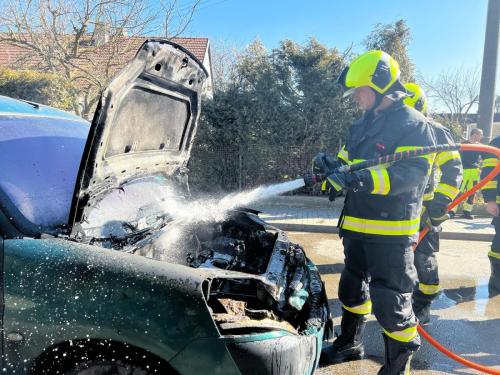 WhatsApp-Image-2025-03-06-at-13.22.17-1