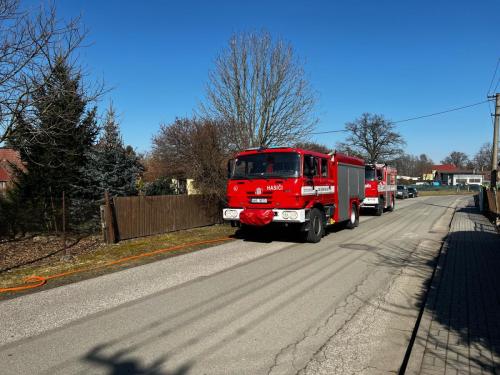 WhatsApp-Image-2025-03-06-at-13.22.18-1