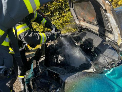 WhatsApp-Image-2025-03-06-at-13.22.18-2