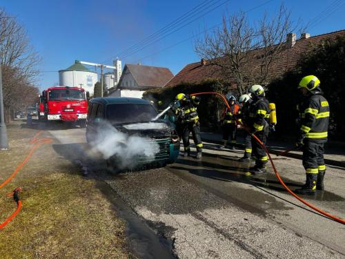 WhatsApp-Image-2025-03-06-at-13.22.19-3