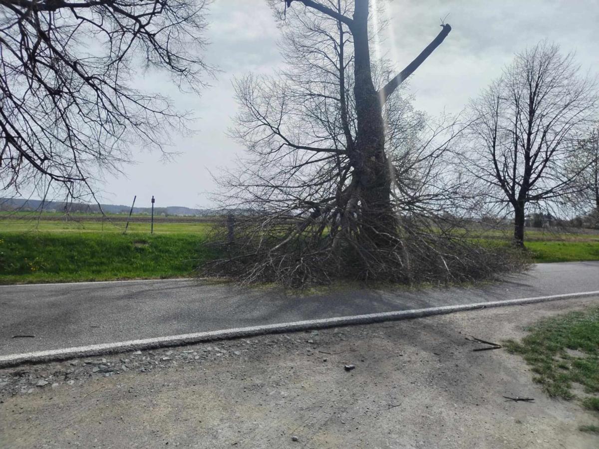 489927850 1413794446285359 3198467465137179245 n