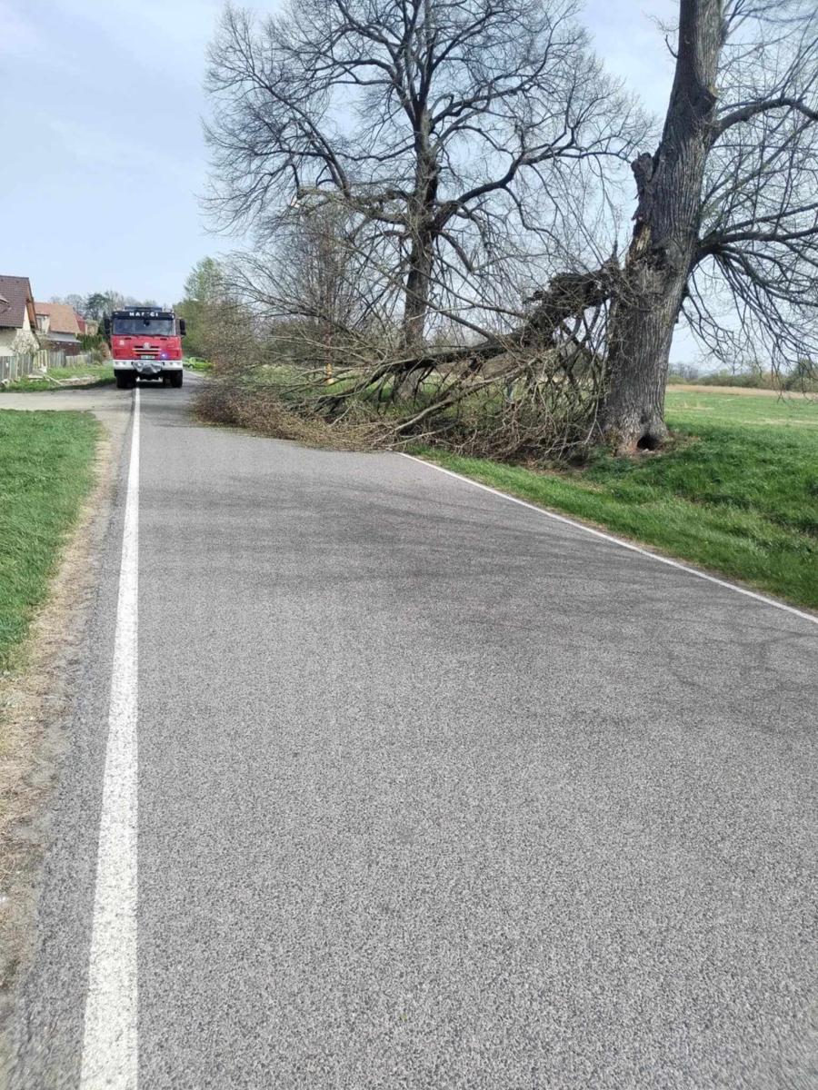 490976506 1087576876538830 8374167984381094084 n