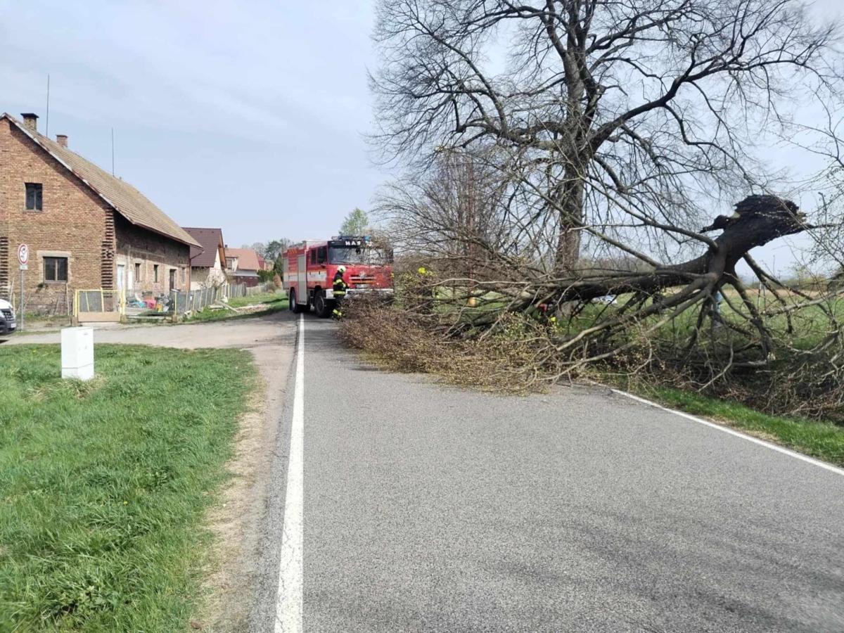 490993640 1887236092133555 6494578522282399806 n