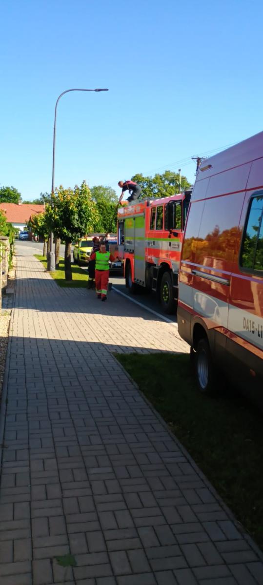 WhatsApp-Image-2025-06-19-at-18.11.33